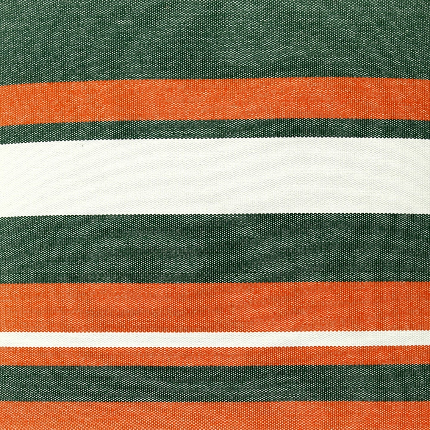 Miami Hurricanes Ibis Hammock