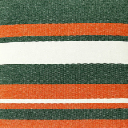 Miami Hurricanes Ibis Hammock
