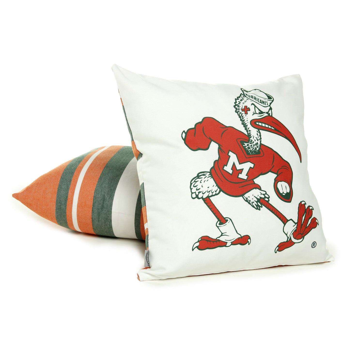 Miami Hurricanes Ibis Hammock Chair