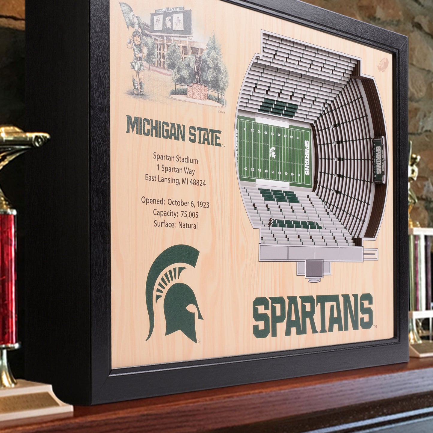 NCAA Michigan State Spartans 25-Layer StadiumView Wallart