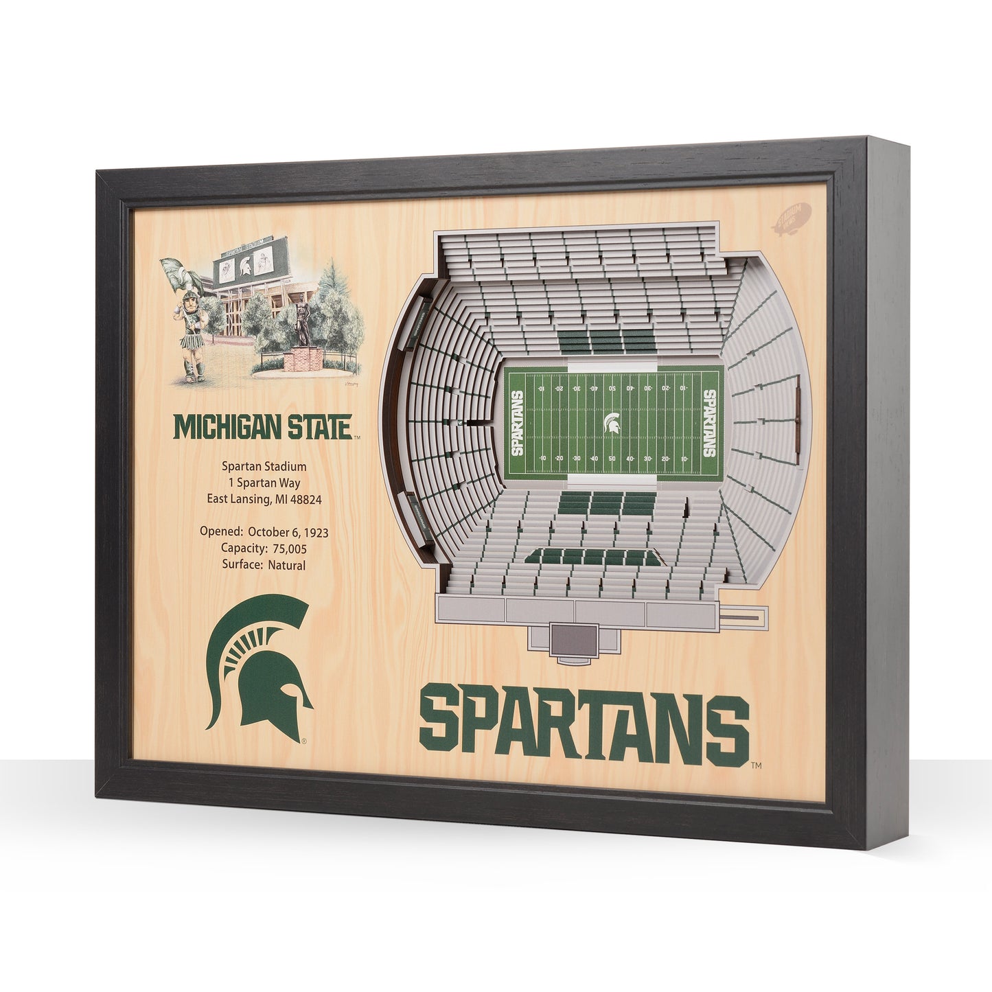 NCAA Michigan State Spartans 25-Layer StadiumView Wallart