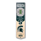 NCAA Michigan State Spartans FB 3D Stadium Banner 8' X 32'