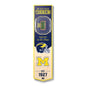 NCAA Michigan Wolverines 3D Stadium Banner 8' X 32'