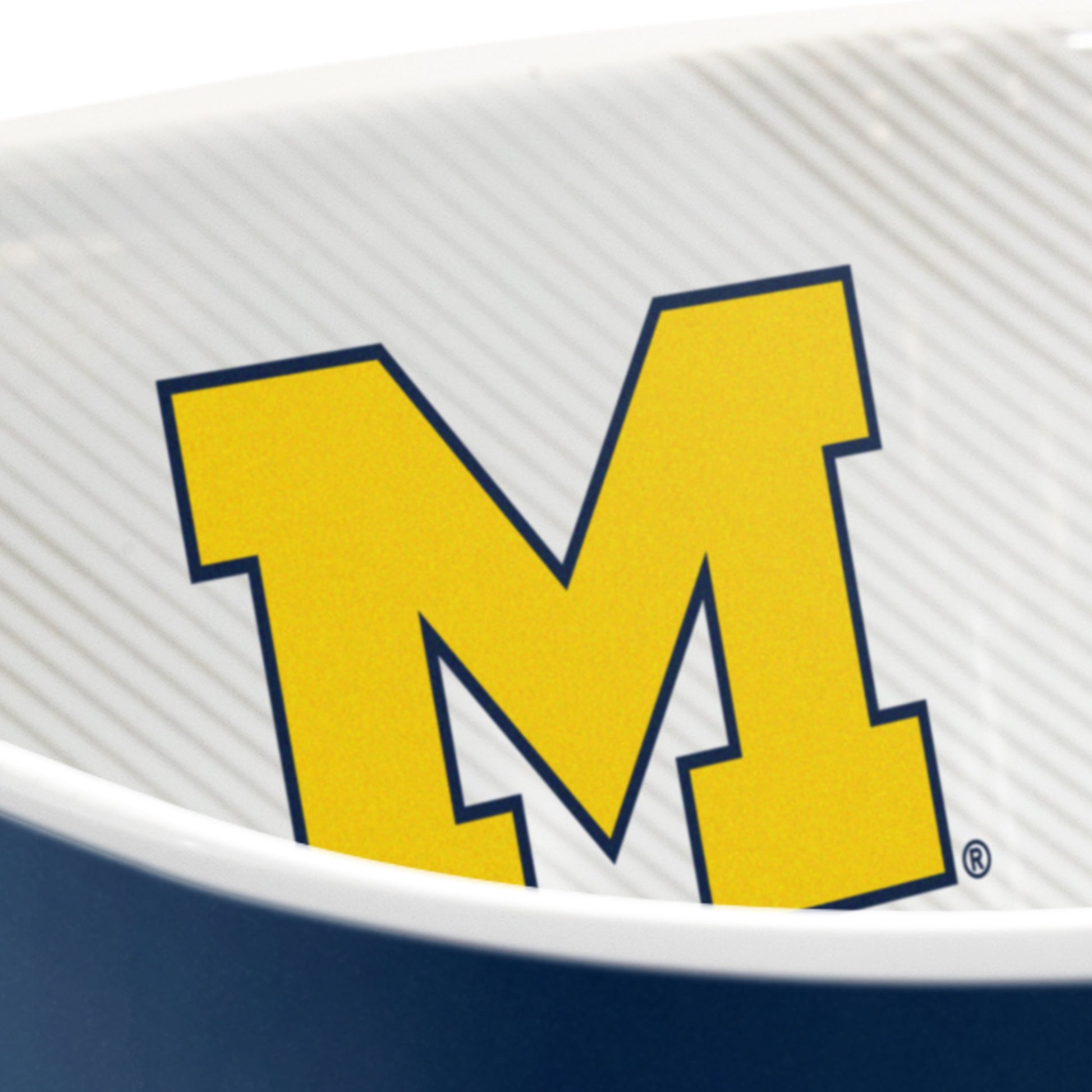 Michigan Wolverines Large Party Bowl Alt 2