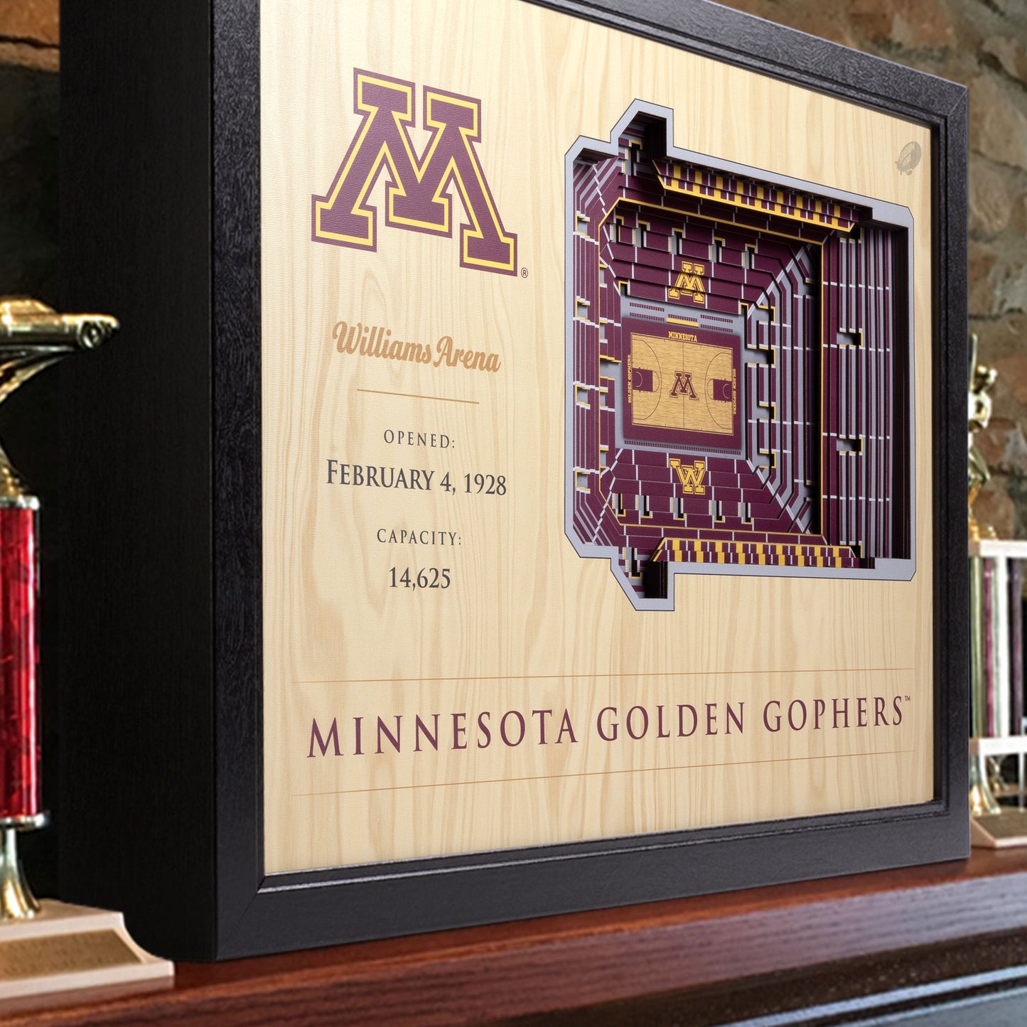 NCAA Minnesota Golden Gophers 25-Layer StadiumView Wallart