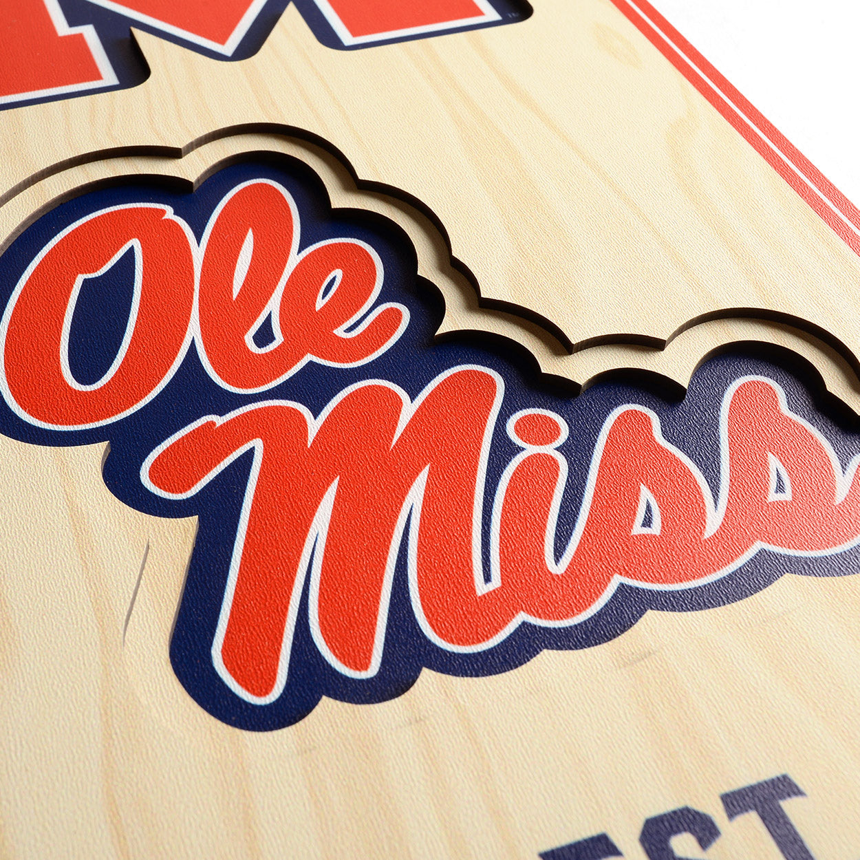 NCAA Mississippi Rebels 3D Stadium Banner 8' X 32'