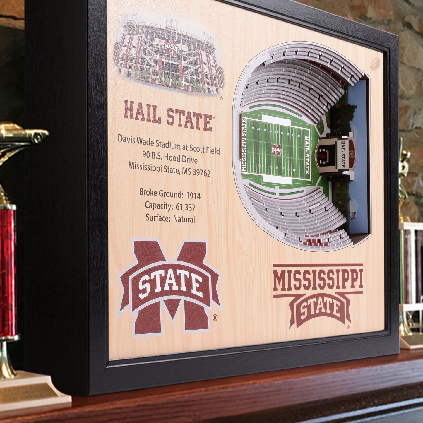 NCAA Mississippi State Bulldogs 25-Layer StadiumView Wallart