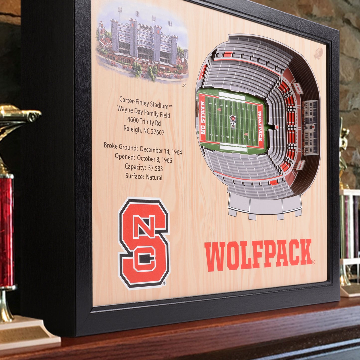NCAA NC State Wolfpack 25-Layer StadiumView Wallart