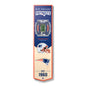 NFL New England Patriots 3D Stadium Banner 8' X 32'
