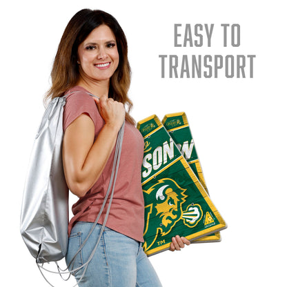 NCAA North Dakota State Bison Ringbag Outdoor Game