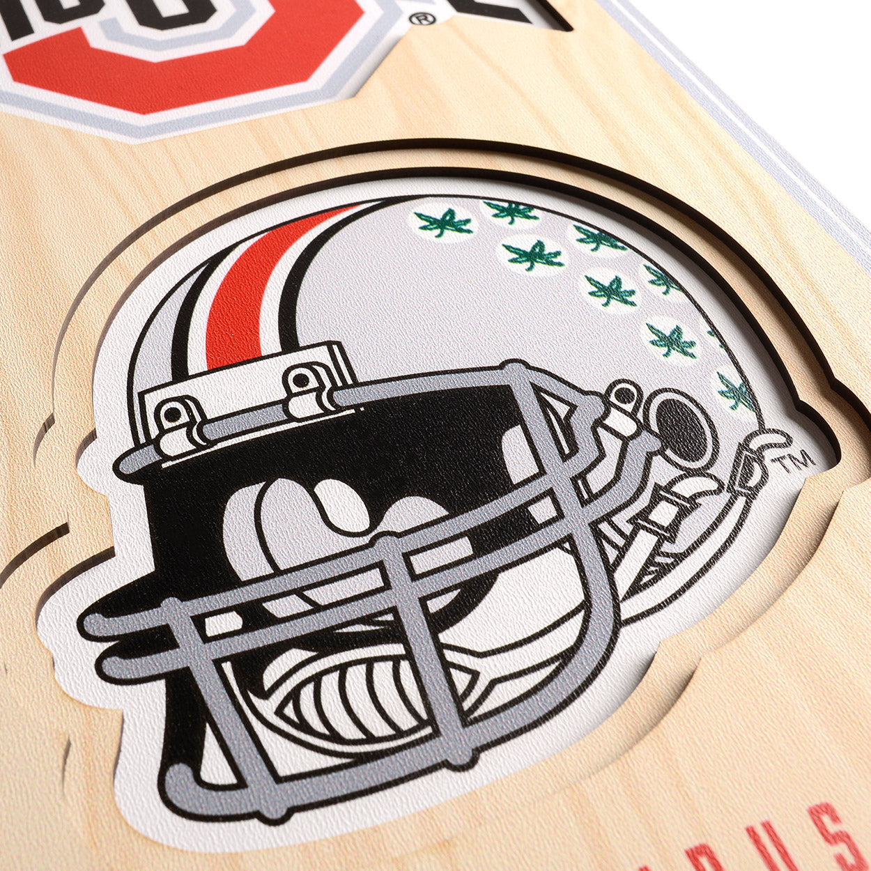 NCAA Ohio State Buckeyes 3D Stadium Banner 8' X 32'