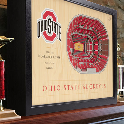 NCAA Ohio State Buckeyes 25-Layer StadiumView Wallart