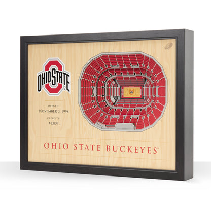 NCAA Ohio State Buckeyes 25-Layer StadiumView Wallart