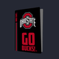 Ohio State PS5 VarsityWrapz