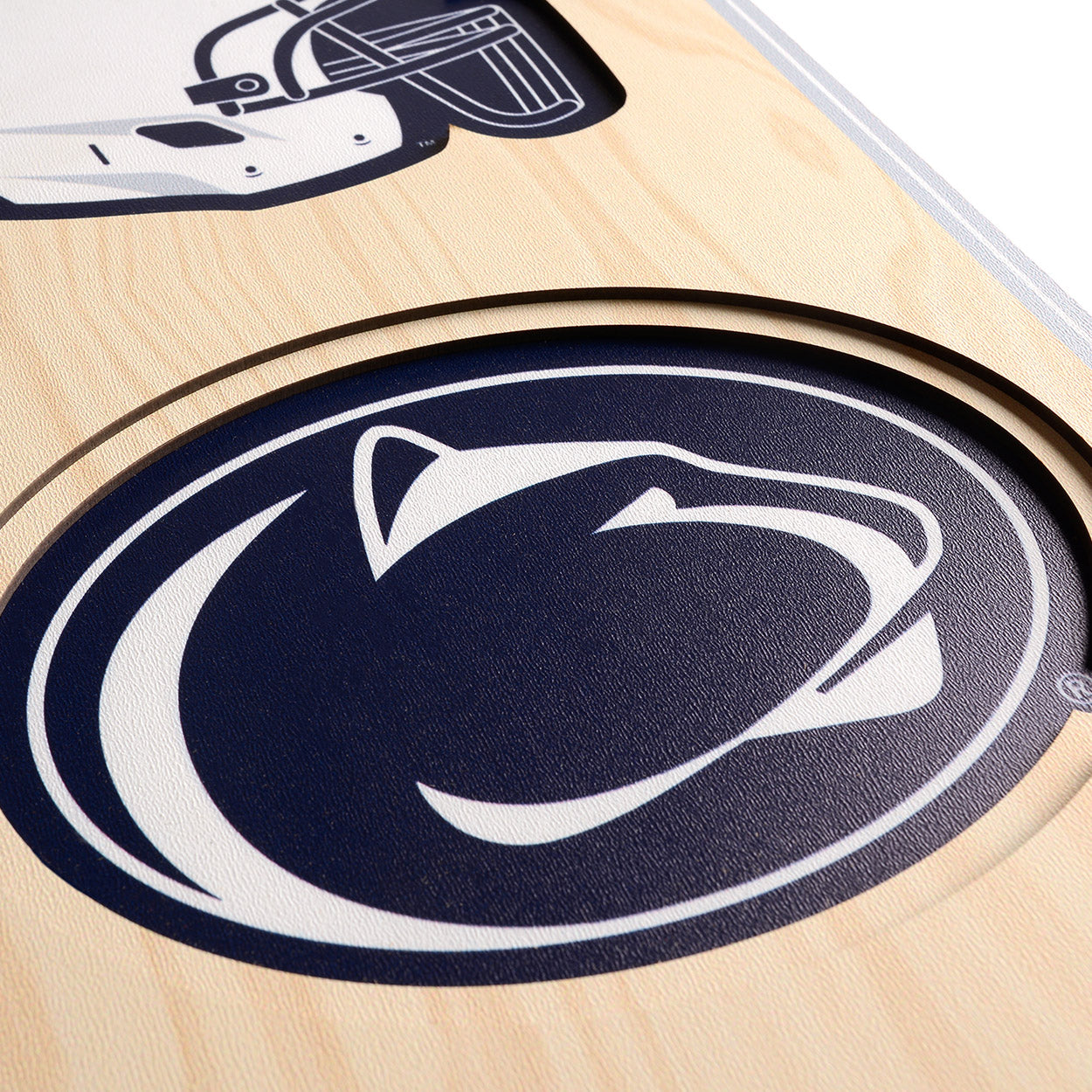 NCAA Penn State Nittany Lions 3D Stadium Banner 8' X 32'