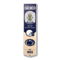 NCAA Penn State Nittany Lions 3D Stadium Banner 8' X 32'