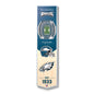 NFL Philadelphia Eagles 3D Stadium Banner 8' X 32'