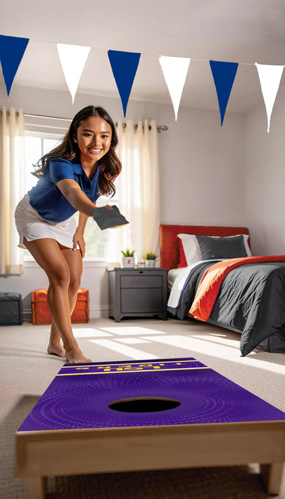 NCAA Wall Art thats also Corn Hole -LSU