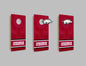 NCAA Wall Art thats also Corn Hole -University of Arkansas
Regular price$59.99