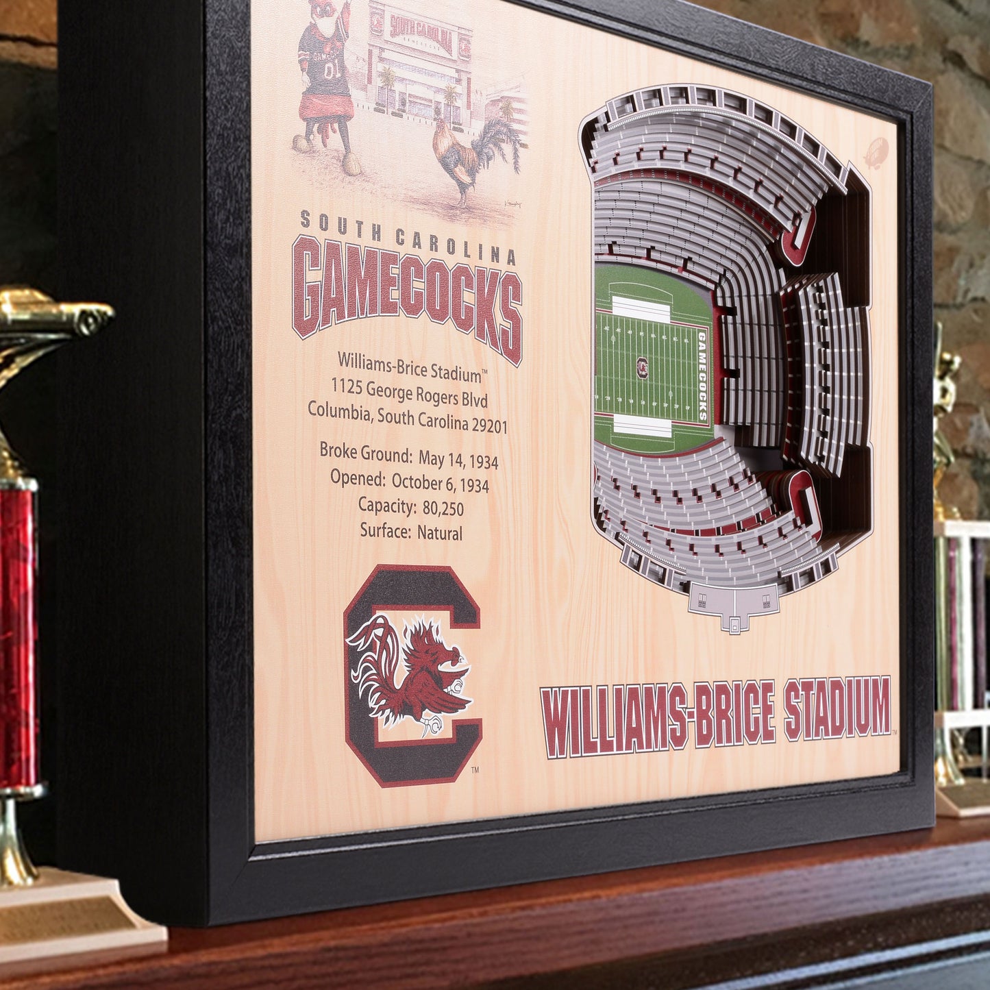 NCAA South Carolina Gamecocks 25-Layer StadiumView Wallart