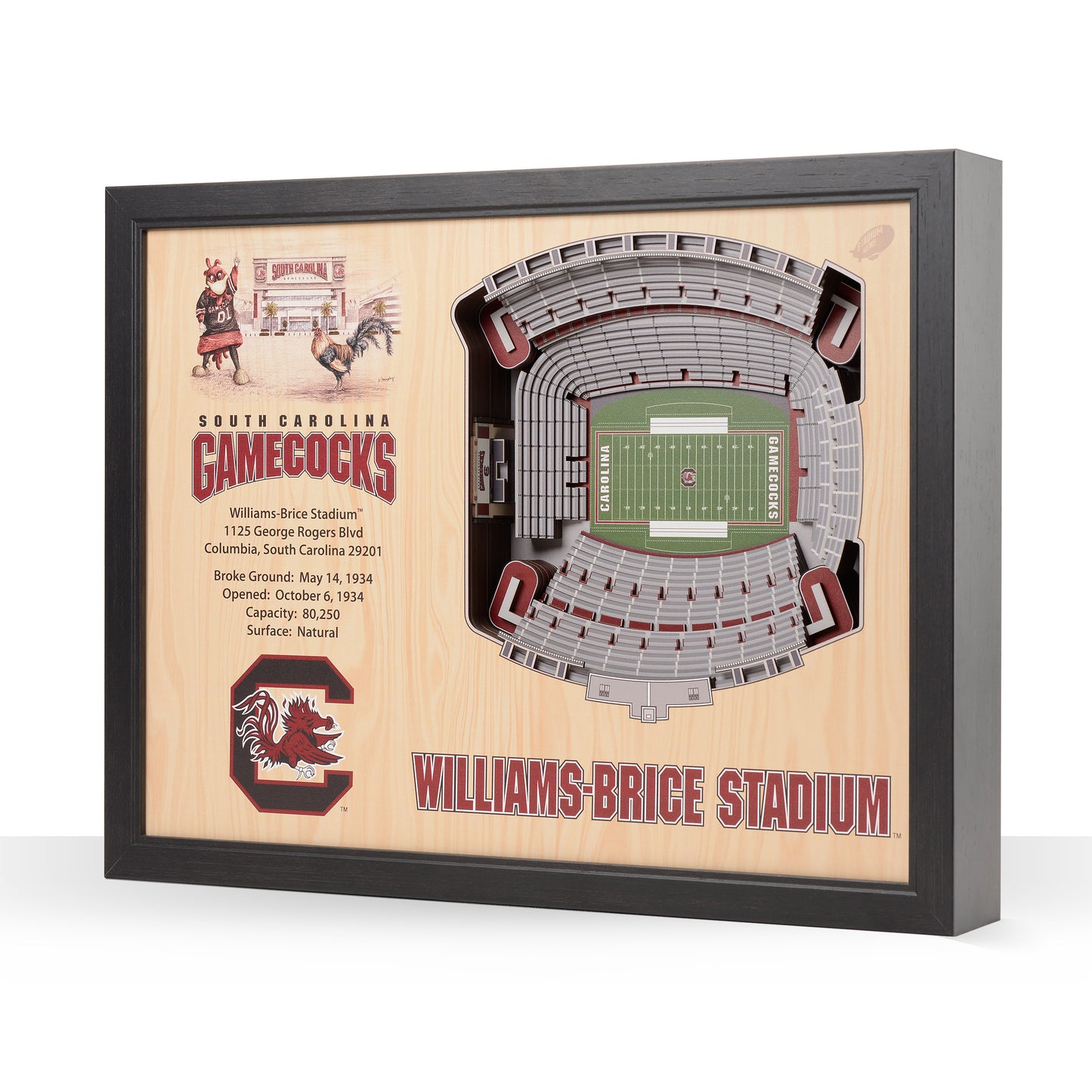 NCAA South Carolina Gamecocks 25-Layer StadiumView Wallart