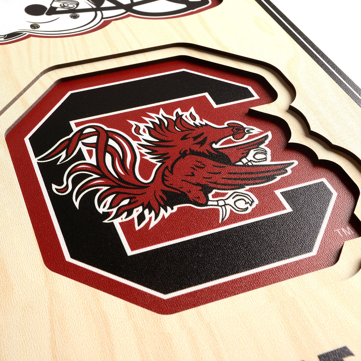 NCAA South Carolina Gamecocks 3D Stadium Banner 8' X 32'
