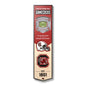 NCAA South Carolina Gamecocks 3D Stadium Banner 8' X 32'