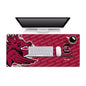 South Carolina Gamecocks Logo Series Desk Pad