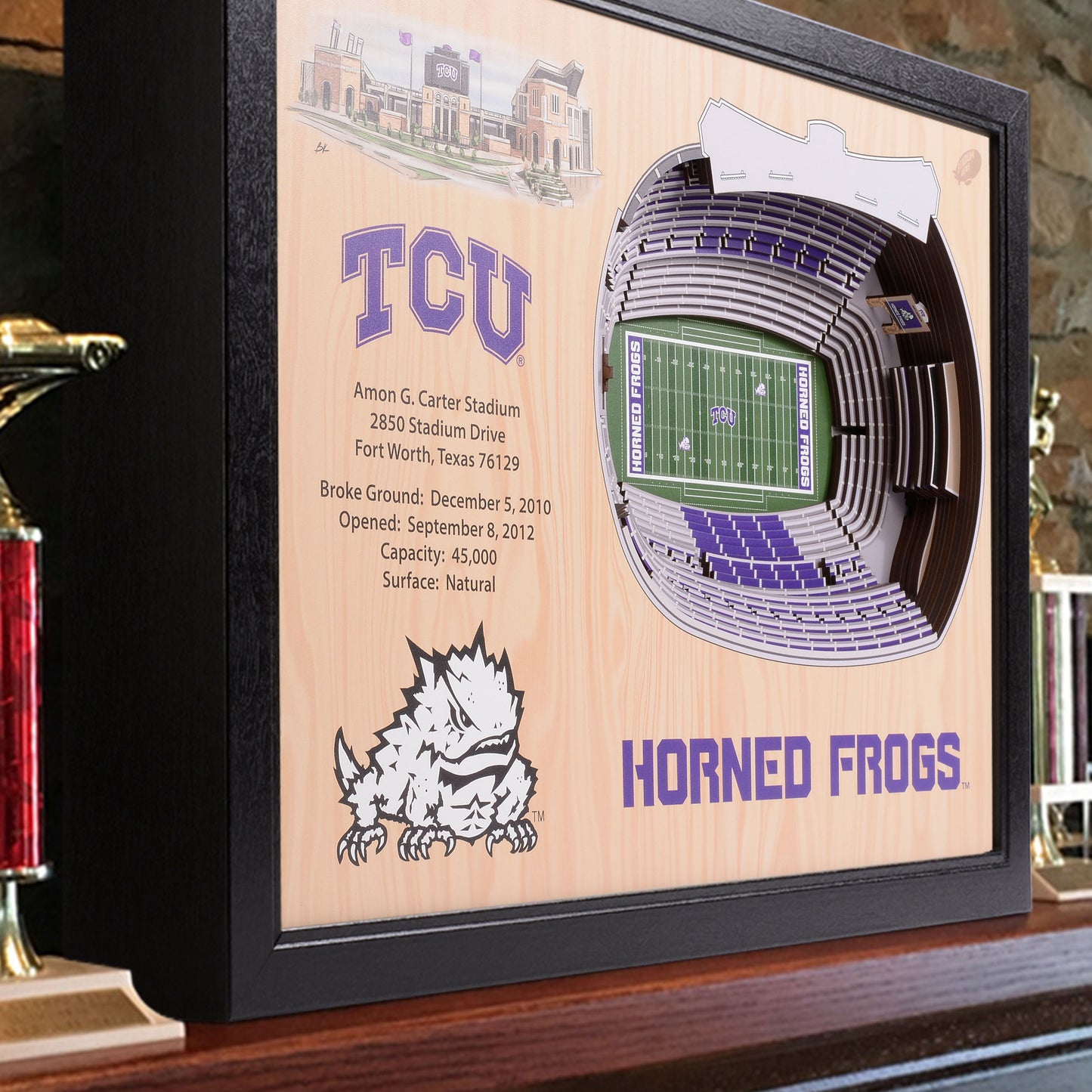 NCAA TCU Horned Frogs 25-Layer StadiumView Wallart