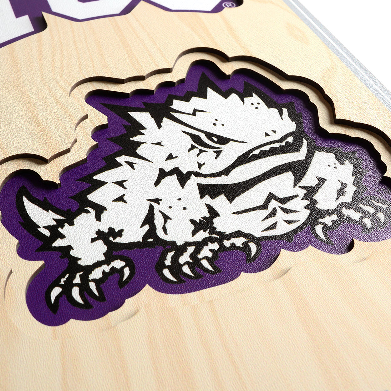 NCAA TCU Horned Frogs 3D Stadium Banner 8' X 32'