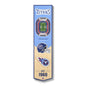 NFL Tennessee Titans 3D Stadium Banner 8' X 32'