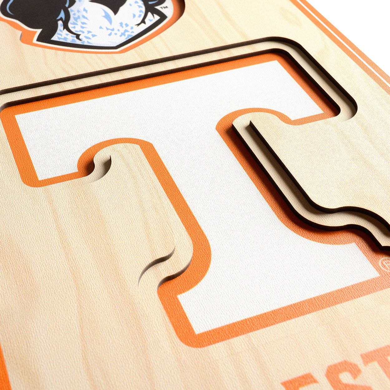 NCAA Tennessee Volunteers 3D Stadium Banner 8' X 32'