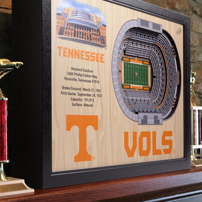 NCAA Tennessee Volunteers 25-Layer StadiumView Wallart