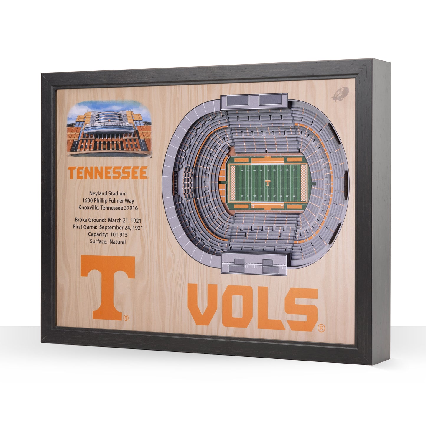 NCAA Tennessee Volunteers 25-Layer StadiumView Wallart