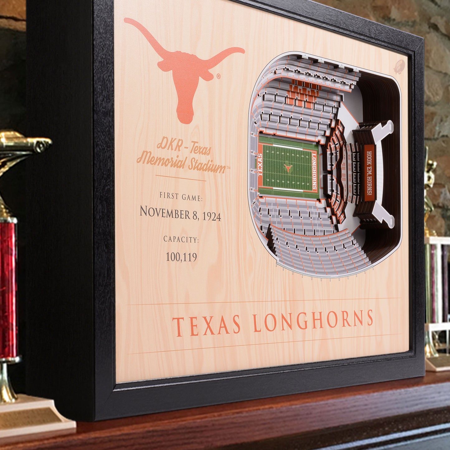 NCAA Texas Longhorns 25-Layer StadiumView Wallart