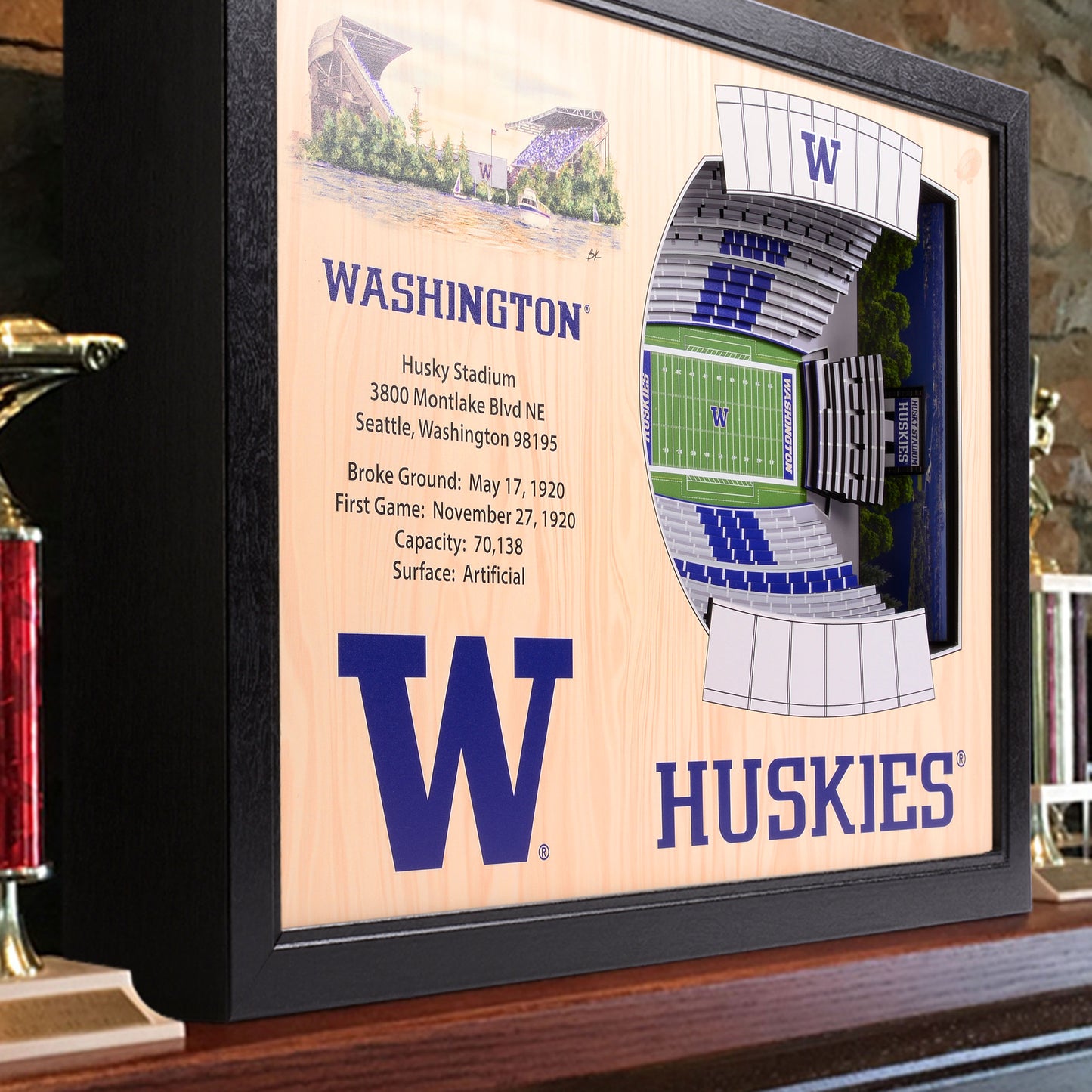 NCAA Washington Huskies 25-Layer StadiumView Wallart