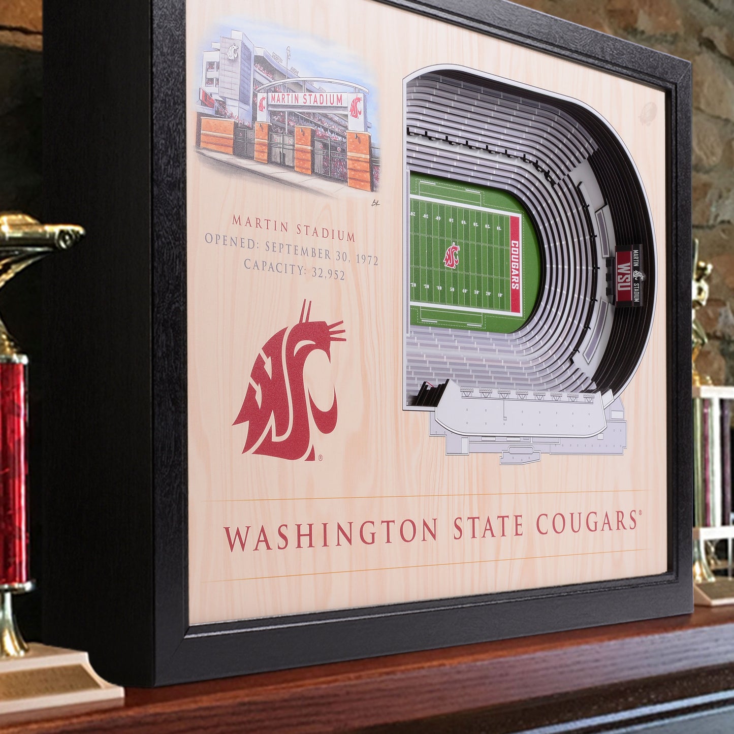 NCAA Washington State Cougars 25-Layer StadiumView Wallart