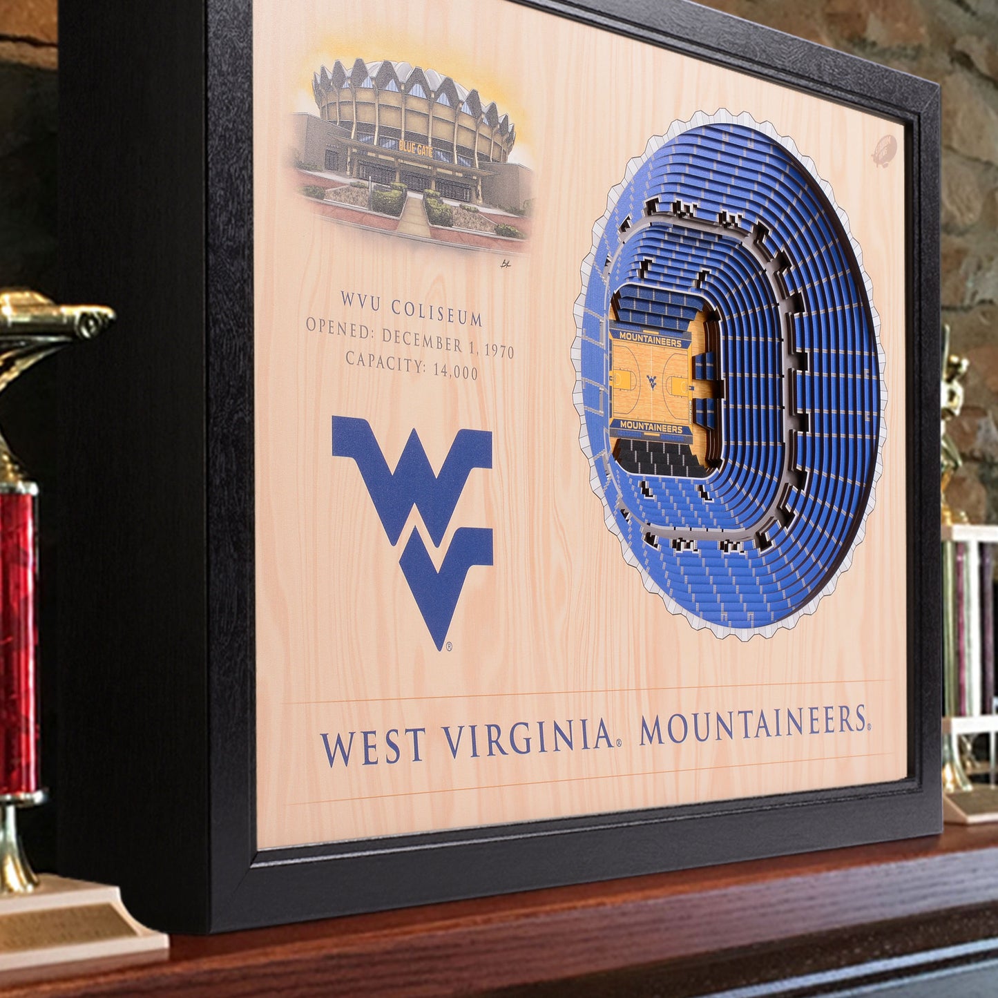 NCAA West Virginia Mountaineers 25-Layer StadiumView Wallart