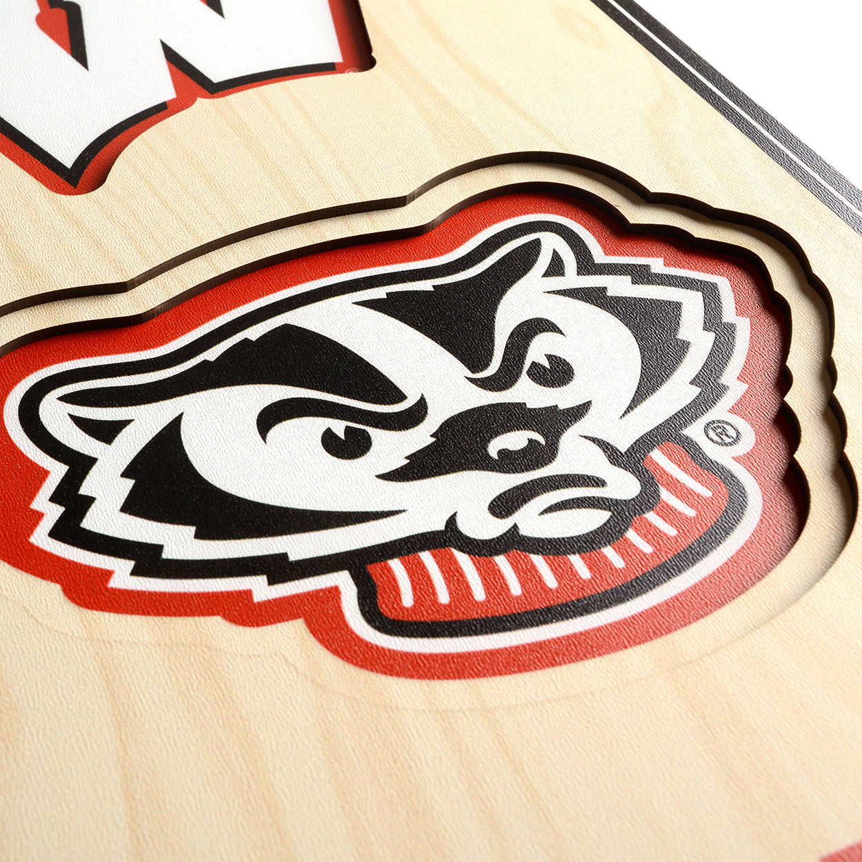 NCAA Wisconsin Badgers 3D Stadium Banner 8' X 32'